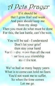 When an animal dies that has been especially close to someone here, that pet goes to rainbow bridge. This Is So Touching Rottweilerart This Is So Touching Rottweilerart This Is So Touching Rottweilerar Pet Grief Pet Loss Grief Dog Prayers
