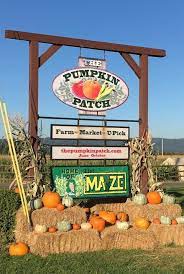 We Found The Best Pumpkin Farms To Visit This Fall Pumpkin Patch Farm Pumpkin Farm Best Pumpkin Patches
