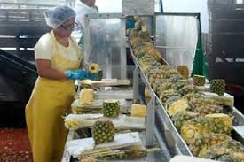 Our Company Devotes To Pineapple Juice Processing