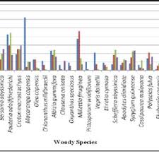 Image result for Pittosporum mildbraedii
