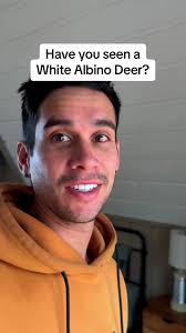 Descubre los Ciervos Blancos en Wisconsin
