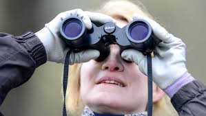 Bird watching at Beaver Lake