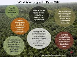 Check spelling or type a new query. Environmental Deforestation What S Wrong With Palm Oil Palm Oil Deforestation What Is Deforestation