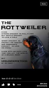 Pin By Lindy Gibboney On Dogs Rottweiler Rottweiler Puppies Rottweiler Training