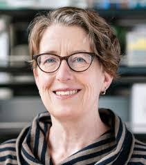 Katie Pollard's Instagram, Twitter & Facebook