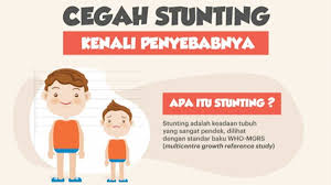 Dampak stunting adalah terganggunya pertumbuhan fisik anak. Waspadai Ini Penyebab Stunting Yang Harus Anda Ketahui Harapan Rakyat Online