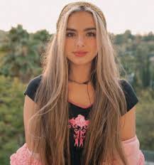 25 facts about the tiktok star you need to know. Addison Rae Profile Contact Details Phone Number Instagram Email Tiktok Yhstars