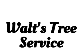 We did not find results for: Tree Removal Wisconsin Dells Wi Walt S Tree Service