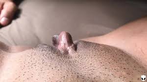 Gif Cunilingus Porn Videos: 720p HD XXX 2025 | xHamster