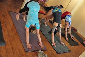 Maybe you would like to learn more about one of these? Studio Spotlight White Orchid Yoga Clearwater Tampa Fitreserve