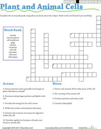 Plant and animal cells have several differences and similarities. Life Science Crossword Plant And Animal Cells Worksheet Education Com