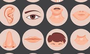 ⬤ body parts picture in english. Body Parts In Arabic