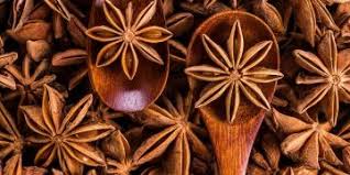 Aniseed Benefits & Information