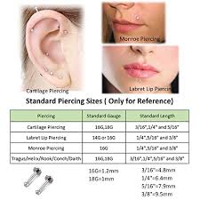 6 Pairs of Ear Studs 16 g 1.2 mm Nose Piercing Tragus Surgical Steel  Zirconium Rhinestone Crystal Ears Cartilage Piercing Lip Lip Bar 6-8 mm for  Christmas Gift, Stainless Steel, Cubic Zirconia :