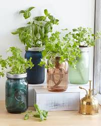76 results for indoor herb garden kit. 17 Indoor Herb Garden Ideas 2021 Kitchen Herb Planters We Love