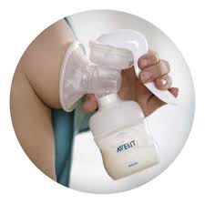 Best breast pump for multitaskers: Politicos Romancier Camarad Philips Avent Manual Breast Pump Review Seanbroganconservation Com