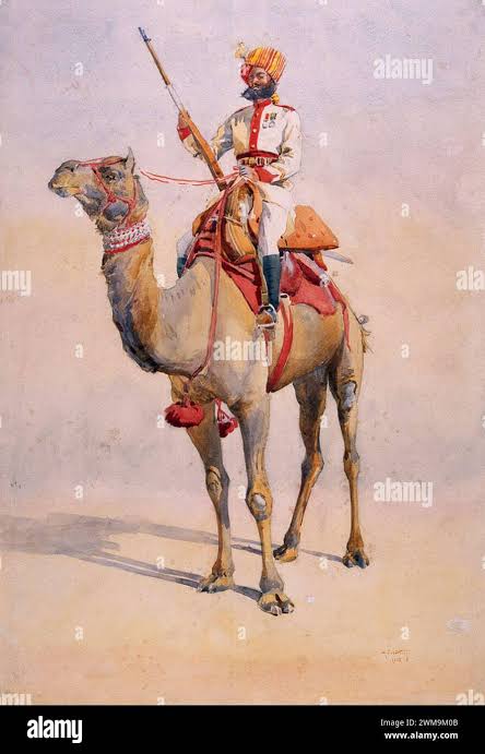 Bikaner camel corps hi-res stock photography and images - Alamy