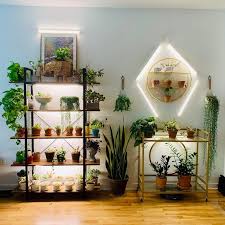 When you see mold in your potted plants, this is essentially your plants going wow, this soil is lit! saprophytic fungi are known as litter transformers. My Plant Wall Is Growing Houseplants Grow Lights For Plants Plant Wall Room With Plants