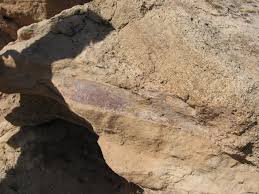 Maybe you would like to learn more about one of these? Mill Canyon Dinosaur Trail