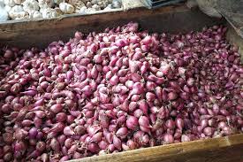 Harga bawang merah super di pasar sayur magetan sempat menyentuh rp 30.000 per kilogram. Jelang Akhir Tahun Harga Bawang Merah Di Bandarlampung Stabil Gajah Mada News