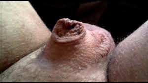 マイクロペニスは0cmから20cmまで大きくなります | xHamster