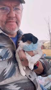 Eden and Stella have come into heat. They are due for a break so I have  this poor man separated from the ladies. I have the males and females  separated. Reuben is