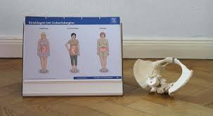 Fragen An Die Hebamme Was Ist Eine Querlage Von Guten Eltern