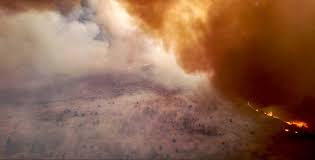 Different articles discuss the radiation release it is the largest major nuclear accident to date, with 56 casualties and as many as 4000 cases of cancer in the area affected by the fallout. Blaze In Ukraine S Restricted Chernobyl Zone Comes Close To Nuclear Power Plant Daily Sabah