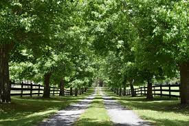Maybe you would like to learn more about one of these? 2 606 Mansion Driveway Photos Free Royalty Free Stock Photos From Dreamstime