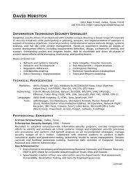 resume example it security
