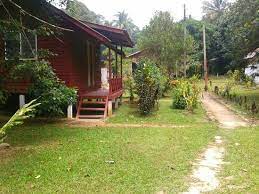 Places kuala tahan travel & transportationtour agencyeco tour agency taman negara 3days 2nights explore taman negara with han travel. Park Lodge Taman Negara Reviews Kuala Tahan Malaysia Tripadvisor