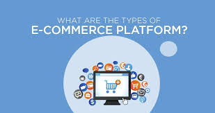 Ecommerce encompasses three types of business transactions. What Are The Types Of E Commerce Platforms Classification