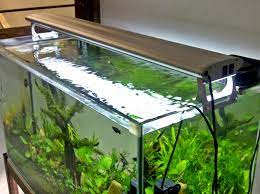 Super Easy Intip 8 Cara Membuat Aquascape Murah Untuk Pemula