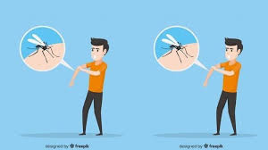 Setiap perubahan pada kulit tampak jelas, terlepas dari gejala mereka yang bersamaan. 11 Cara Menghilangkan Bekas Gigitan Nyamuk Bangka Pos