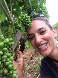 Kevin Vine's Instagram, Twitter & Facebook