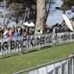 Flying Brick Bellarine Sunset Run event image