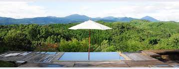 room 天空の森 official site 天空の森 日帰り 森