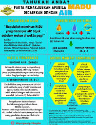Efek Madu Dicampur Air Madu Hidup Sehat Hidup
