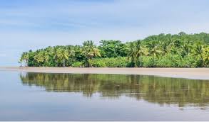 Jumbo car costa rica, spécialiste de la location de voiture sera votre partenaire privilégié pour vos vacances et vos déplacements au costa rica. Location 4x4 Au Costa Rica Faut Il Louer Une Voiture 4x4 Au Costa Rica