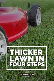 How To Get A Thicker Lawn And Keep It In 2020 Lush Lawn Lawn Problems Lawn