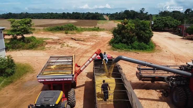 Empregos no agro mais que dobram em Mato Grosso, mas falta gente para trabalhar