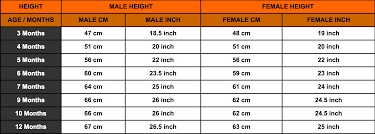 Rottweiler Growth Chart Rottweiler Height Chart Rottweiler