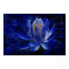 Blue Kitchen Appliances And Accessories Blue Lotus Flower Flower Canvas Flower Meanings
