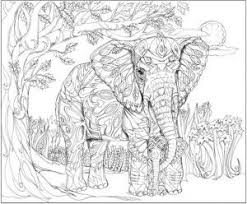 Pin On Still Collecting