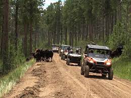 Best Atv Utv Trails In The Black Hills Of South Dakota South Dakota Vacation South Dakota Travel Atv Riding