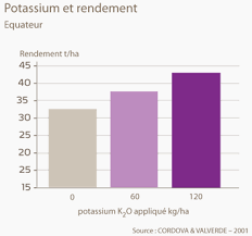 Déposer la moitié des pommes de terre, en salant bien entre chaque couche, et en arrosant d'un peu de crème. Apports Nutritionnels Pour Augmenter Le Rendement De La Pomme De Terre Yara France