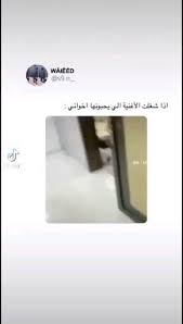 pin by فـلانـه on مـشـكـلـآتـ video in 2021 funny videos for kids funny study quotes family funny