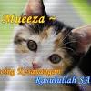 Banyak sekali jenis kucing lucu dan imut yang tersebar di seluruh penjuru dunia. 1