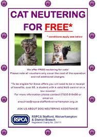 More importantly, however, spaying and neutering helps your cat live a. Free And Assisted Neutering For Cats And Rspca Stafford Wolverhampton District Facebook