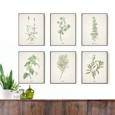 Herbs Wall Art Kitchen Wall Decor Farmhouse Herbs Print Vintage Wall Art Set Of 6 Herb Botanical Print In 2020 Herb Art Botanical Prints Herb Wall